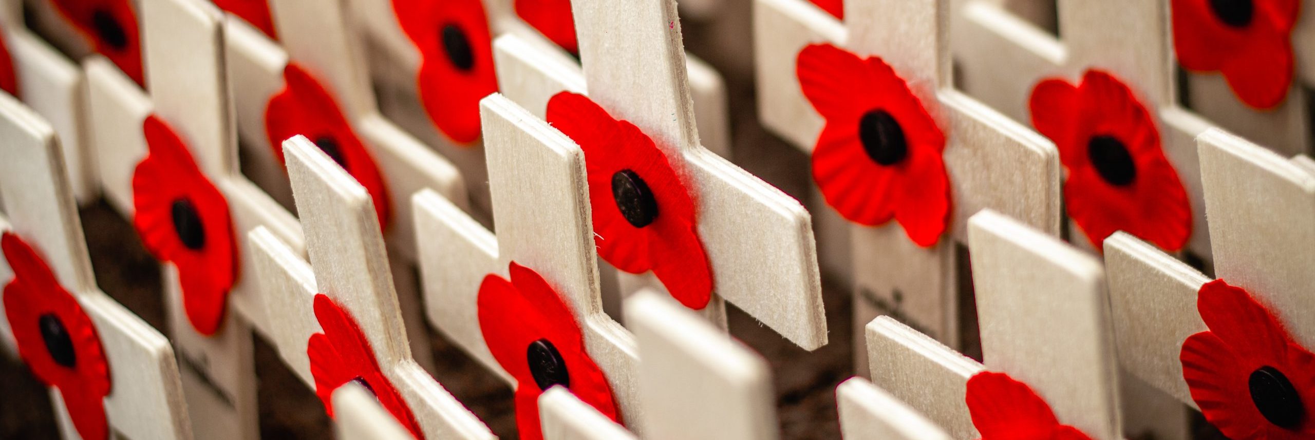 Read more about the article Audley Primary School: Exploring Wartime Britain for Armistice Day