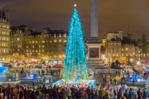 The Christmas tree in Trafalgar Square London is given each year by the capital city of Norway, Oslo.