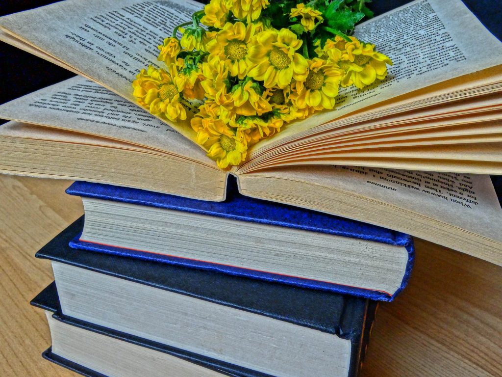Set of books with flowers on top showing possiblity