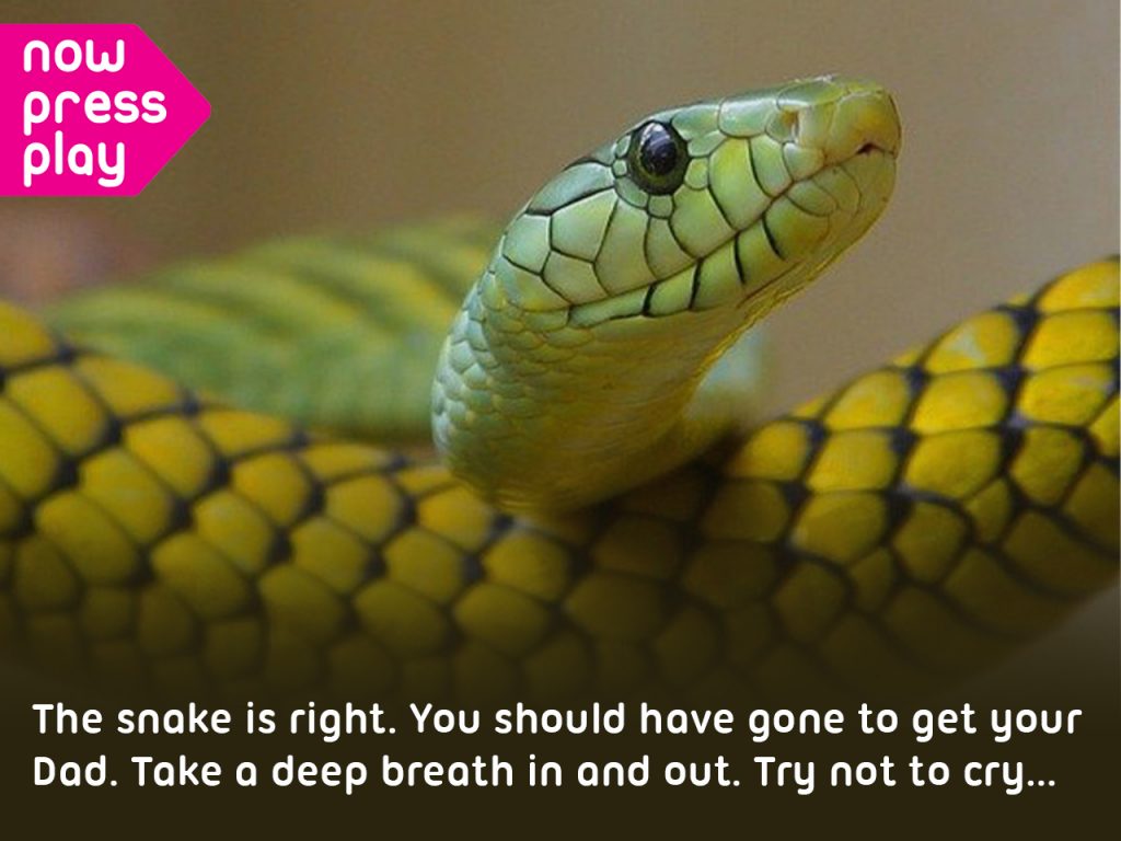 Picture of a green snake, from Now Press Play's KS1 Online Safety Experience.