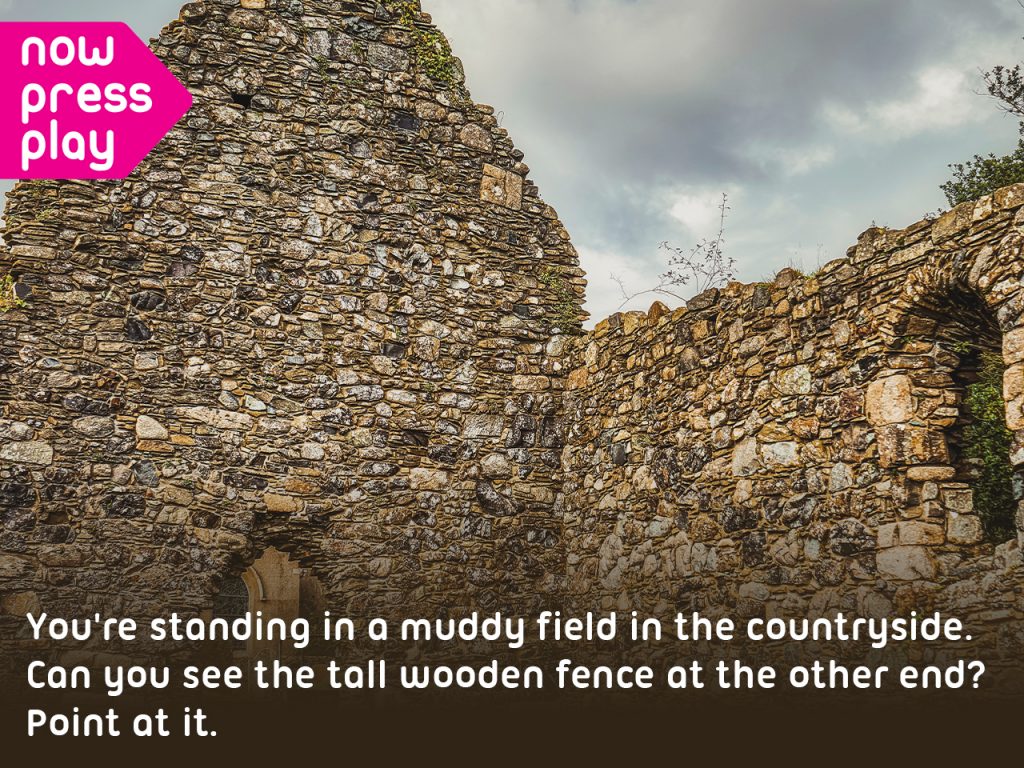 An old Anglo-Saxon ruin. Text reads: You're standing in a muddy field in the countryside. Can you see the tall wooden fence at the other end? Point at it.