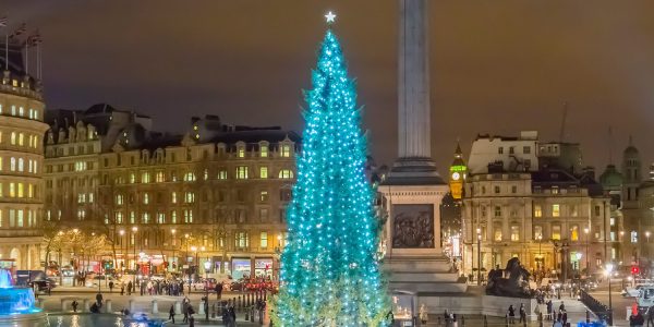 The Trafalgar Square Christmas Tree