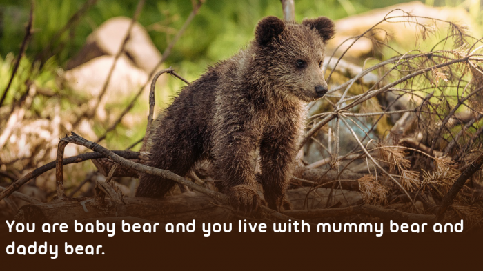 Picture of a small brown bear in a forest, from Now Press Play's Goldilocks Experience. Text reads: You are baby bear and you live with mummy bear and daddy bear.