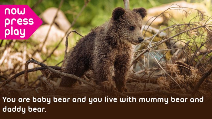 Picture of a small brown bear in a forest, from Now Press Play's Goldilocks Experience. Text reads: You are baby bear and you live with mummy bear and daddy bear.