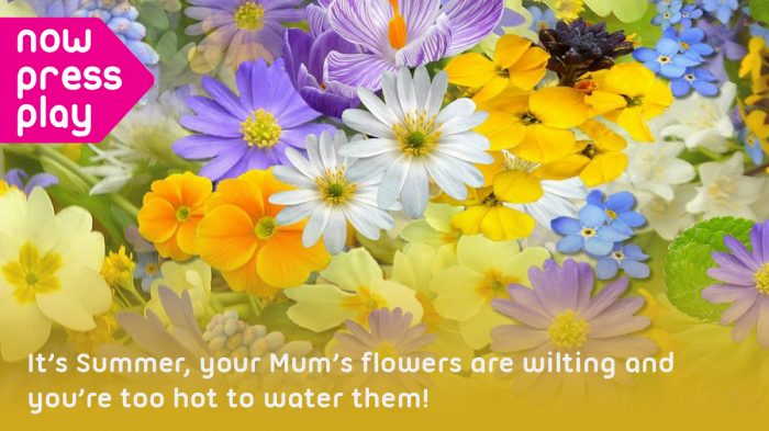 Picture of a field of colourful flowers, from Now Press Play's Seasons Experience. Text reads: It's Summer, your Mum's flowers are wilting and you're too hot to water them!