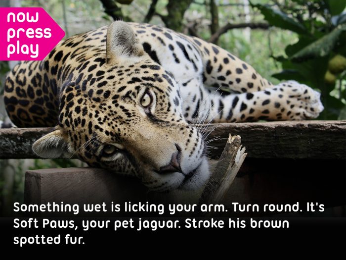 A jaguar looks at you, from Now Press Play's Maya Experience. Caption: Something wet is licking your arm. Turn round. It's Soft Paws, your pet jaguar. Stroke his brown spotted fur.