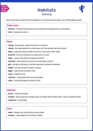 One of Now Press Play's Glossary editable follow-on learning resources