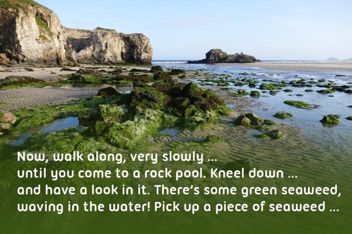 destination for a school trip Cornish beach with rock pools and lots of sand. Text reading '‘Now, walk along, very slowly … until you come to a rock pool. Kneel down … and have a look in it. There’s some green seaweed, waving in the water! Pick up a piece of seaweed … give it a shake to get the water off …’