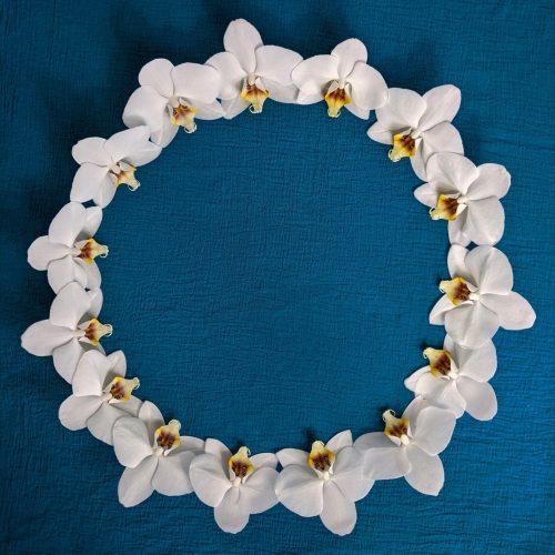 Picture of a Hawaiian lei flower garland.